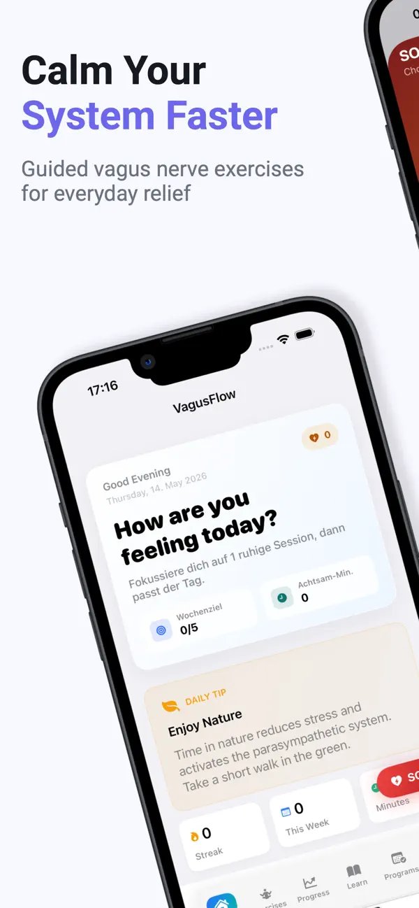 VagusFlow Screenshot 1